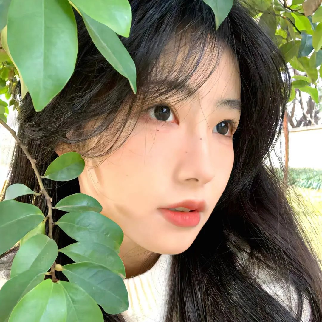 天才第三季